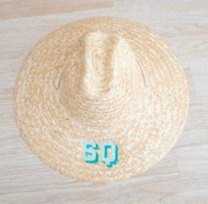 Hat of Summer-One of a Kind!