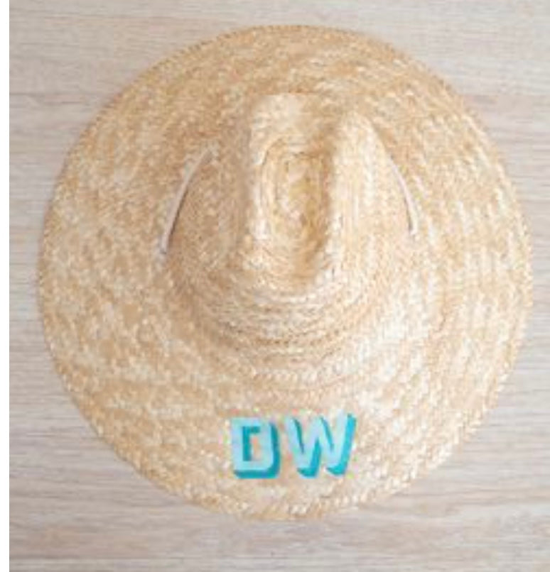Hat of Summer-One of a Kind!